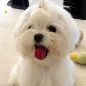 Meet your Posher, Jeanne